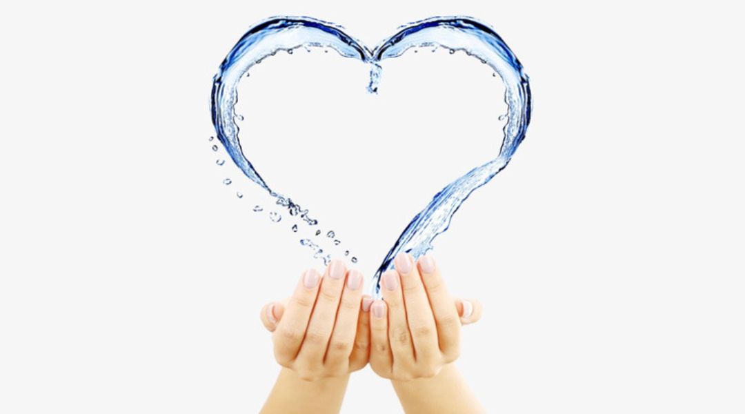The Importance of Water to Human Health